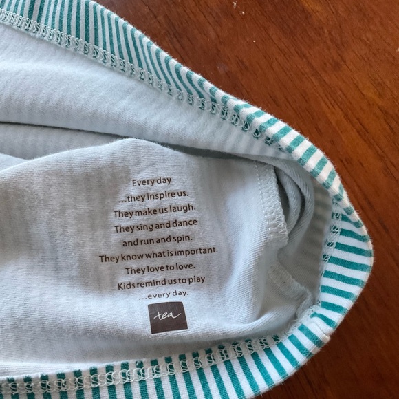 EUC Light Green Striped Tea Collection Shirt w/ Flutter Cap Sleeves & Pink Trim - Picture 6 of 6